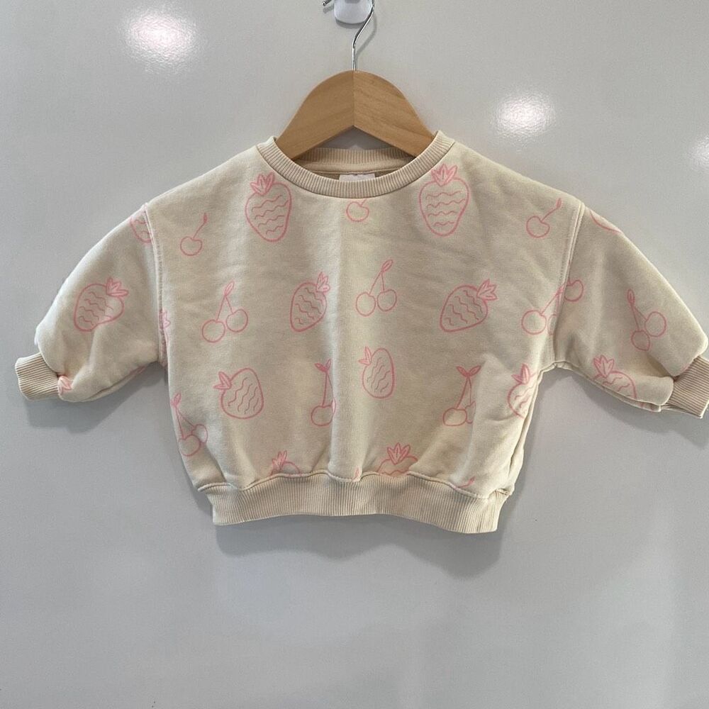 Zara baby fruit crewneck sweatshirt 9/12 months